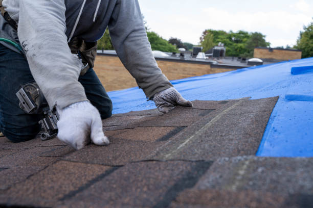 Best Roof Gutter Cleaning  in Ackerman, MS