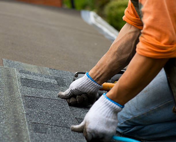 Best Slate Roofing Contractor  in Ackerman, MS