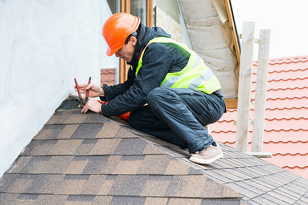 Best Metal Roofing Contractor  in Ackerman, MS
