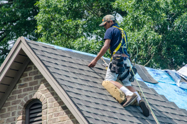 Best Roof Repair Services  in Ackerman, MS